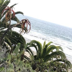 Meet your Posher, Mariam